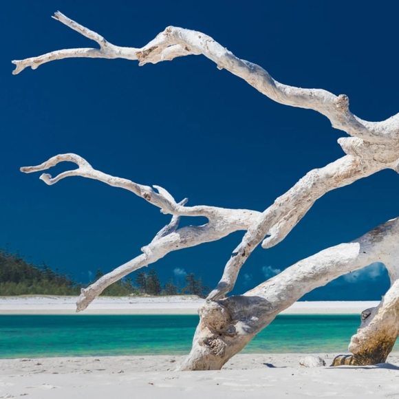 TUSCANY CANDLES • Ocean View • Long-Lasting Scented Jar Candle (14 oz) - Picture 9 of 11